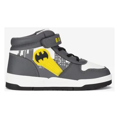 Batman BIC-AW24-322BBAT Szary