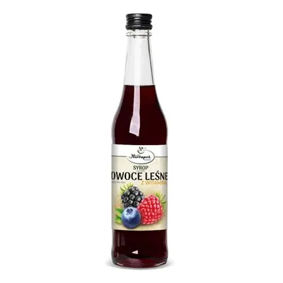 Syrop Owoce leśne 480ml