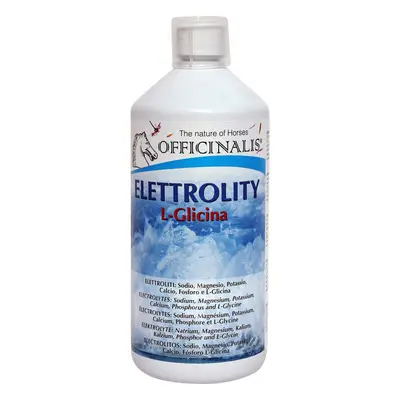 Suplement diety dla koni elektrolity l-glicyna Officinalis