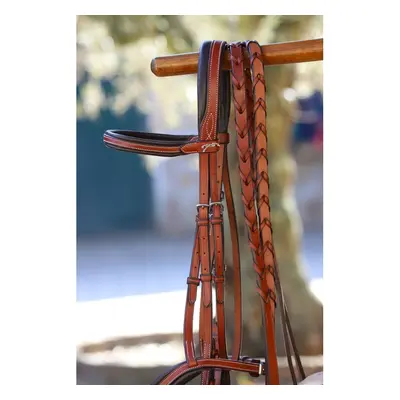 Para kołowrotków dla koni Pénélope US