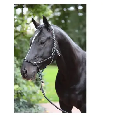 Etologiczny kucyk Kantar pony Kerbl