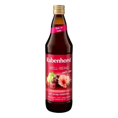 SOK WIELOOWOCOWY Z ŻELAZEM I WITAMINAMI C, B6, B12 750 ml - RABENHORST