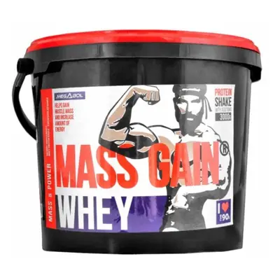 Megabol Whey Mass Gain 3 kg o smaku waniliowym