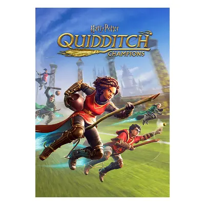 Harry Potter: Quidditch Champions PC