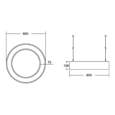 BRUMBERG Biro Circle Ring10 direct Ø 60 cm DALI biały 830