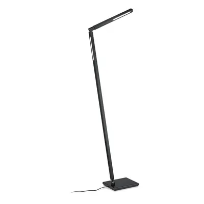 Lampa stojąca LED Carla 2, 2-pkt. czarna