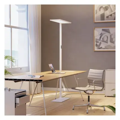 Regent Lighting Lightpad, czujnik 1-punktowy prawy biały