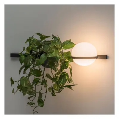 Vibia Palma 3702 lampa ścienna, doniczka, grafit