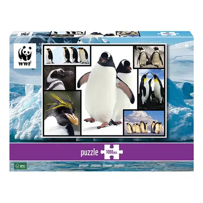 ambassador 1000-częściowe puzzle "Pinguine" - 12+ rozmiar: