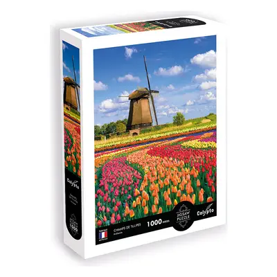 Calypto 1000-częściowe puzzle "Tulips" - 9+ rozmiar: